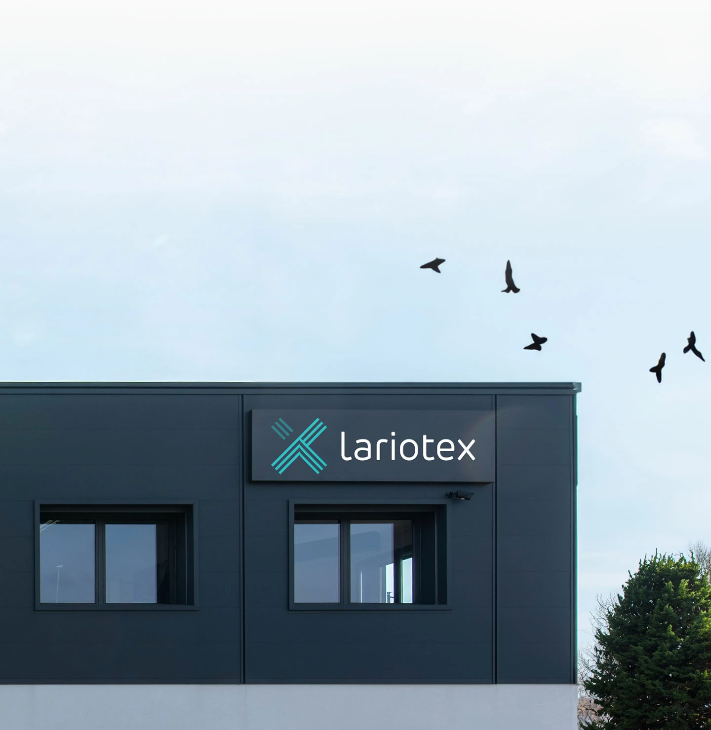Lariotex building