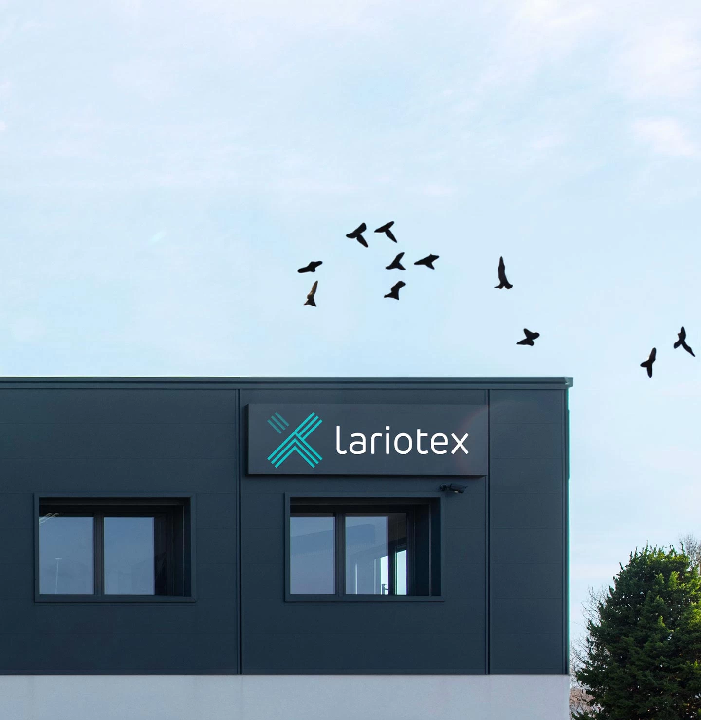 lariotex